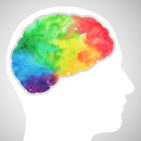 cerebro.jpg